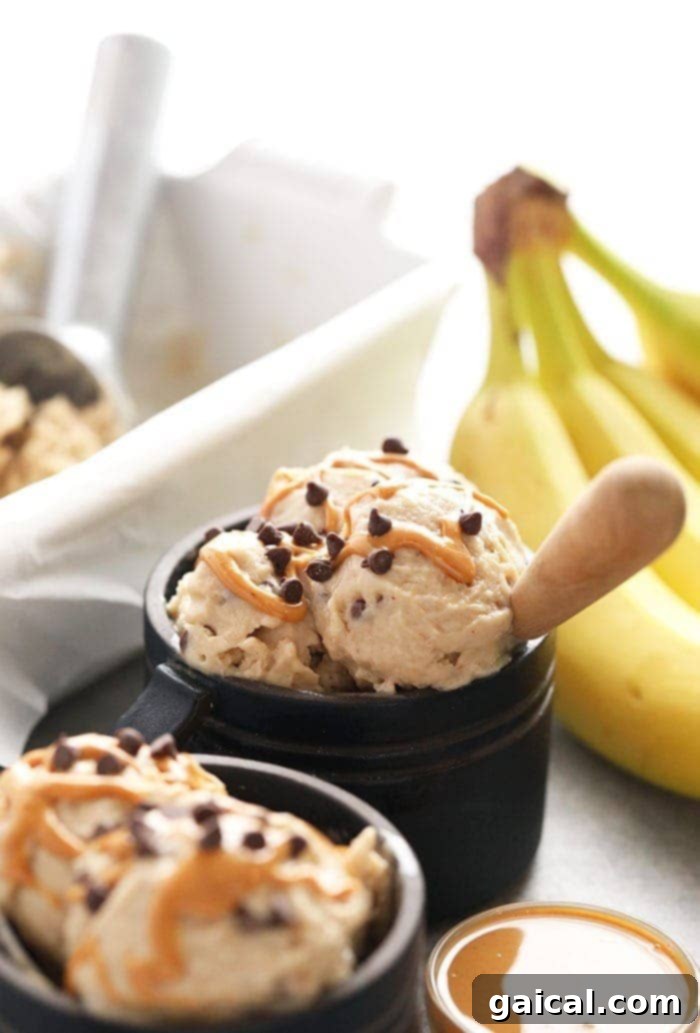 Peanut butter banana soft serve with chocolate chips.