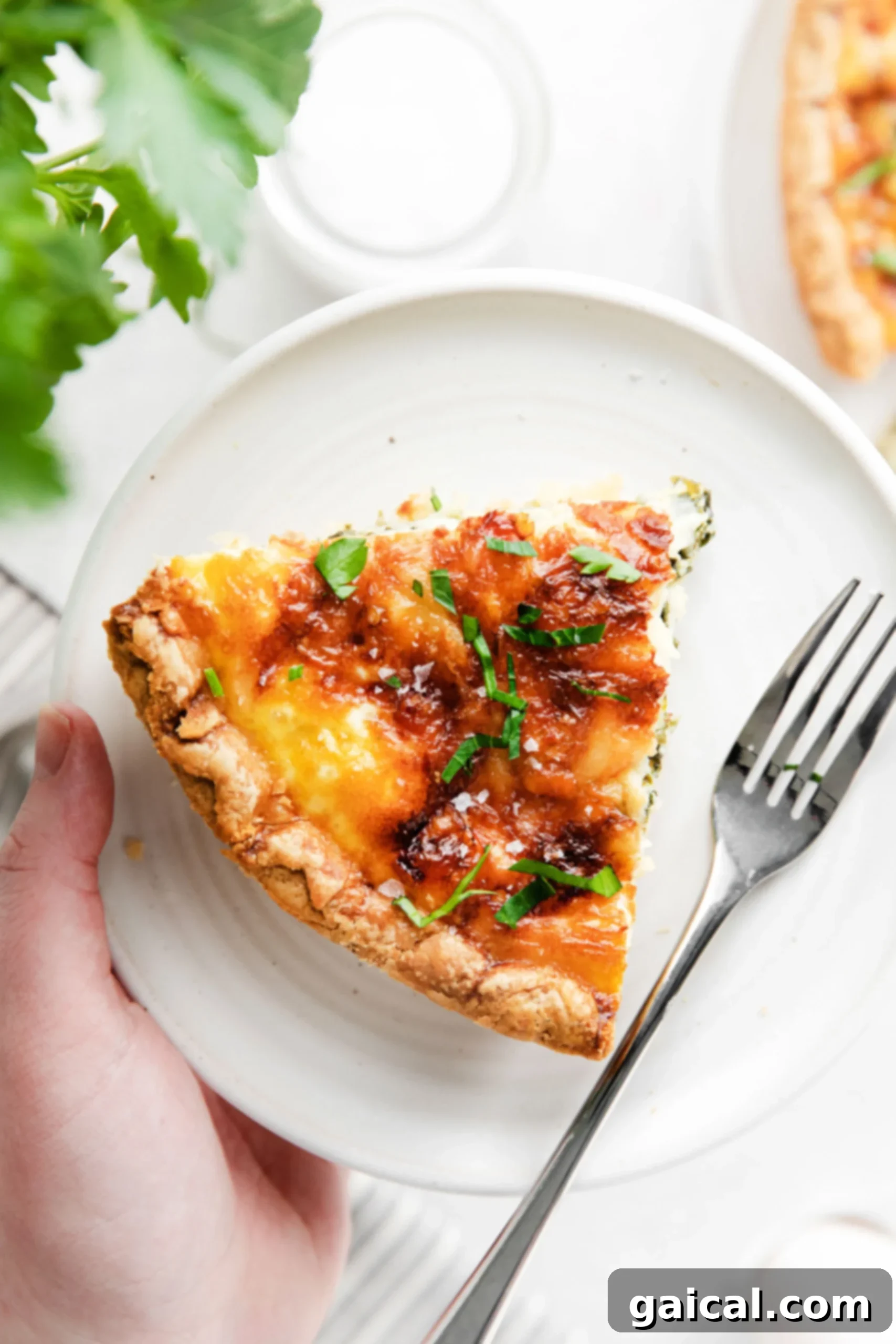 Simple & Savory Spinach Quiche 3 A golden-brown slice of spinach quiche rests on a plate, ready to be enjoyed. The rich, savory filling, loaded with spinach and cheese, is perfectly set within its flaky crust, promising a satisfying and healthy meal.