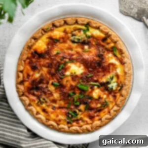 Simple & Savory Spinach Quiche 10 A beautifully baked quiche with a golden crust and a creamy, delicious filling. This close-up view highlights the inviting texture and appearance of the quiche, emphasizing its appeal as a savory dish.