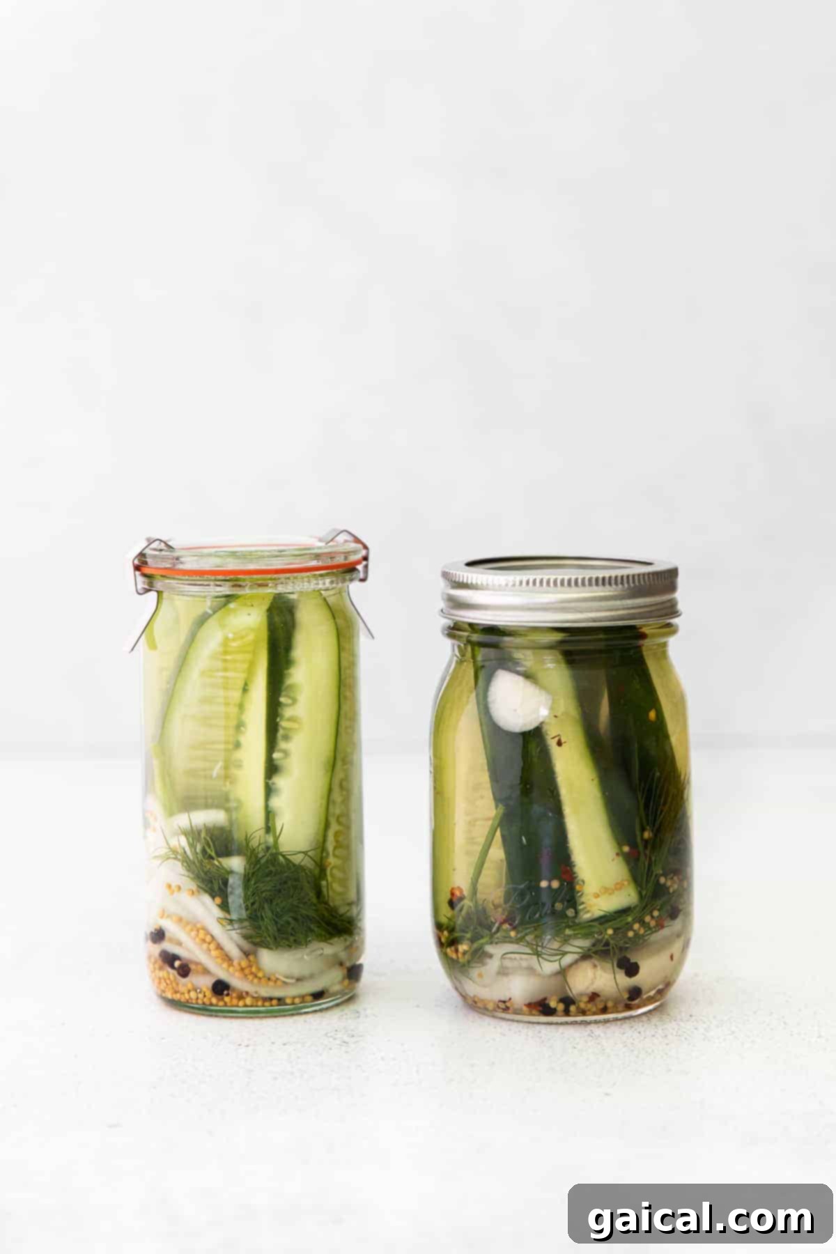 A mason jar filled with freshly made refrigerator pickles, soaking in brine with dill and other spices.
