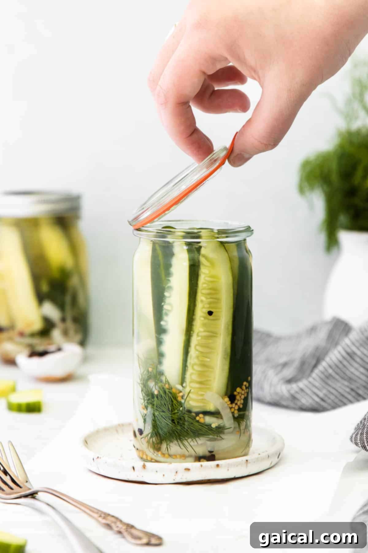 A beautifully arranged mason jar filled with vibrant green refrigerator pickles, fresh dill, and spices, ready for the fridge.