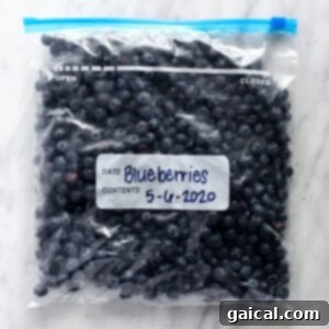 Your Guide to Freezing Blueberries 5 A freezer bag filled with perfectly preserved frozen blueberries, labeled and ready for storage.