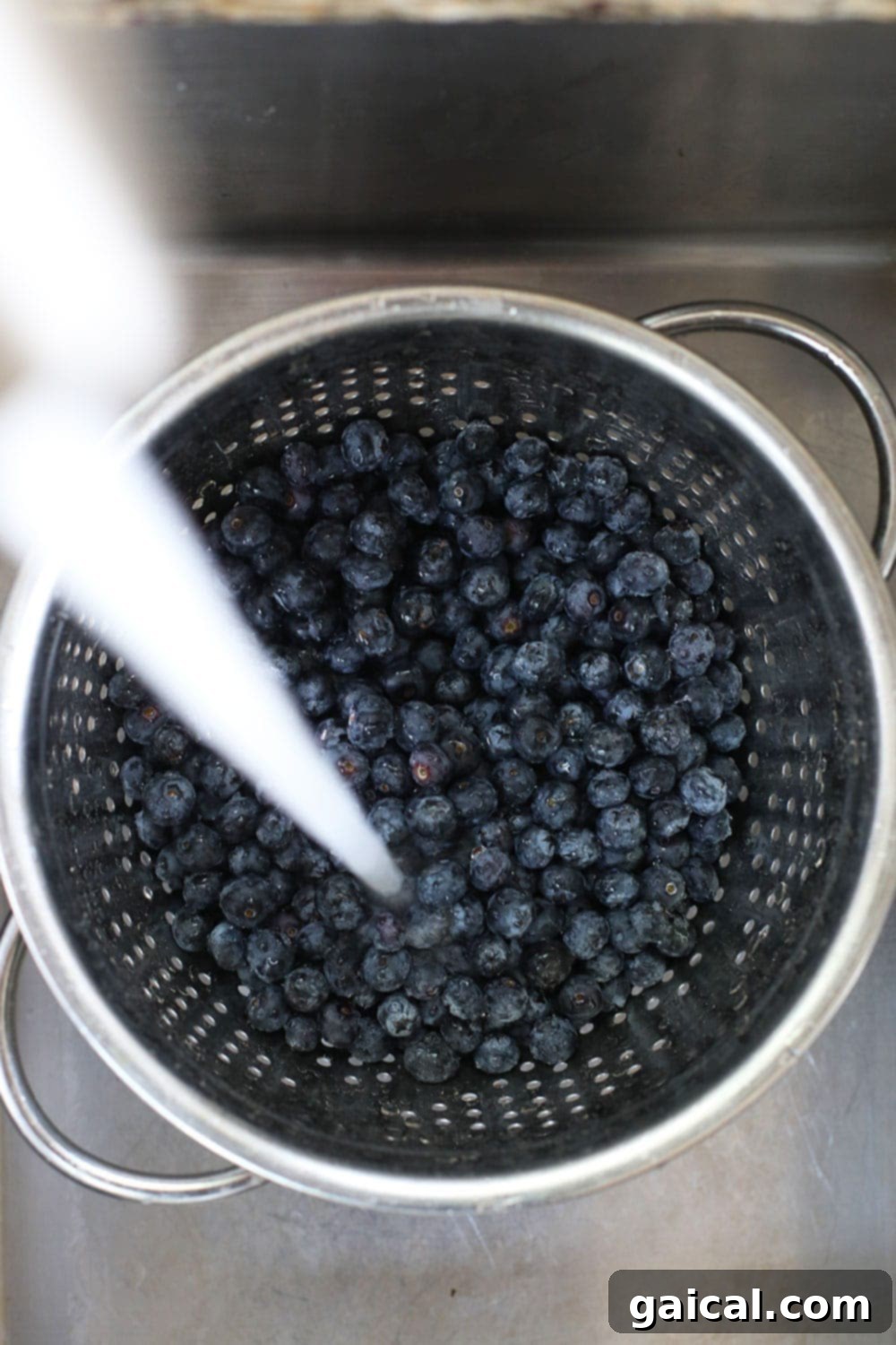 Washing fresh blueberries before freezing for optimal cleanliness and taste. Fresh blueberries being rinsed under cold water in a metal strainer, preparing them for freezing.