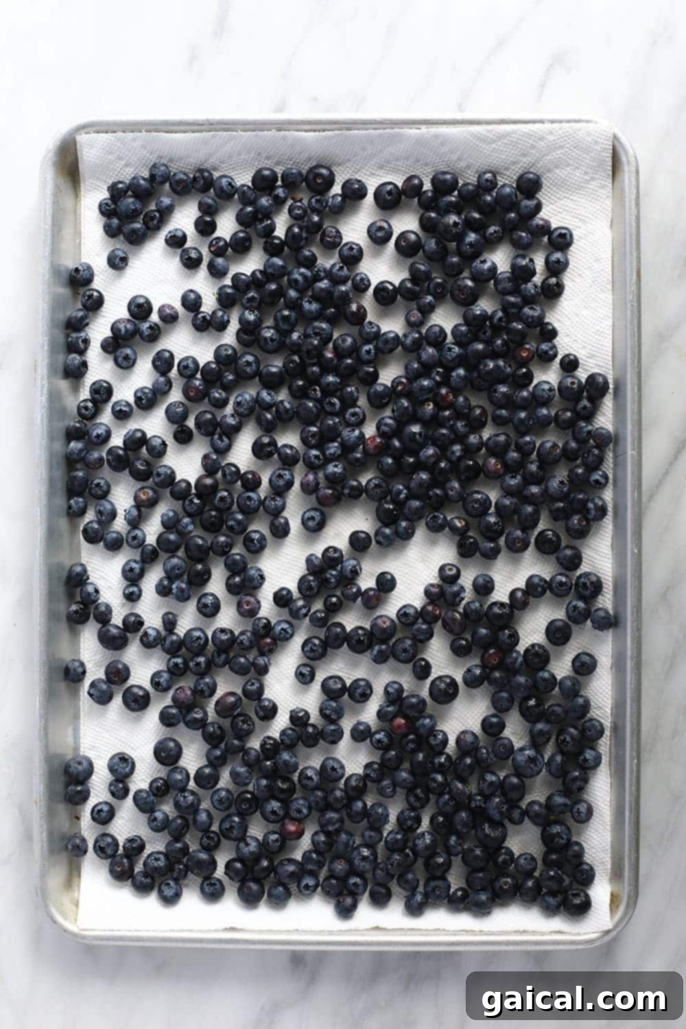 Flash freezing blueberries on a baking sheet to prevent clumping. Freshly washed and dried blueberries spread out evenly on a baking sheet lined with parchment paper, ready for flash freezing.