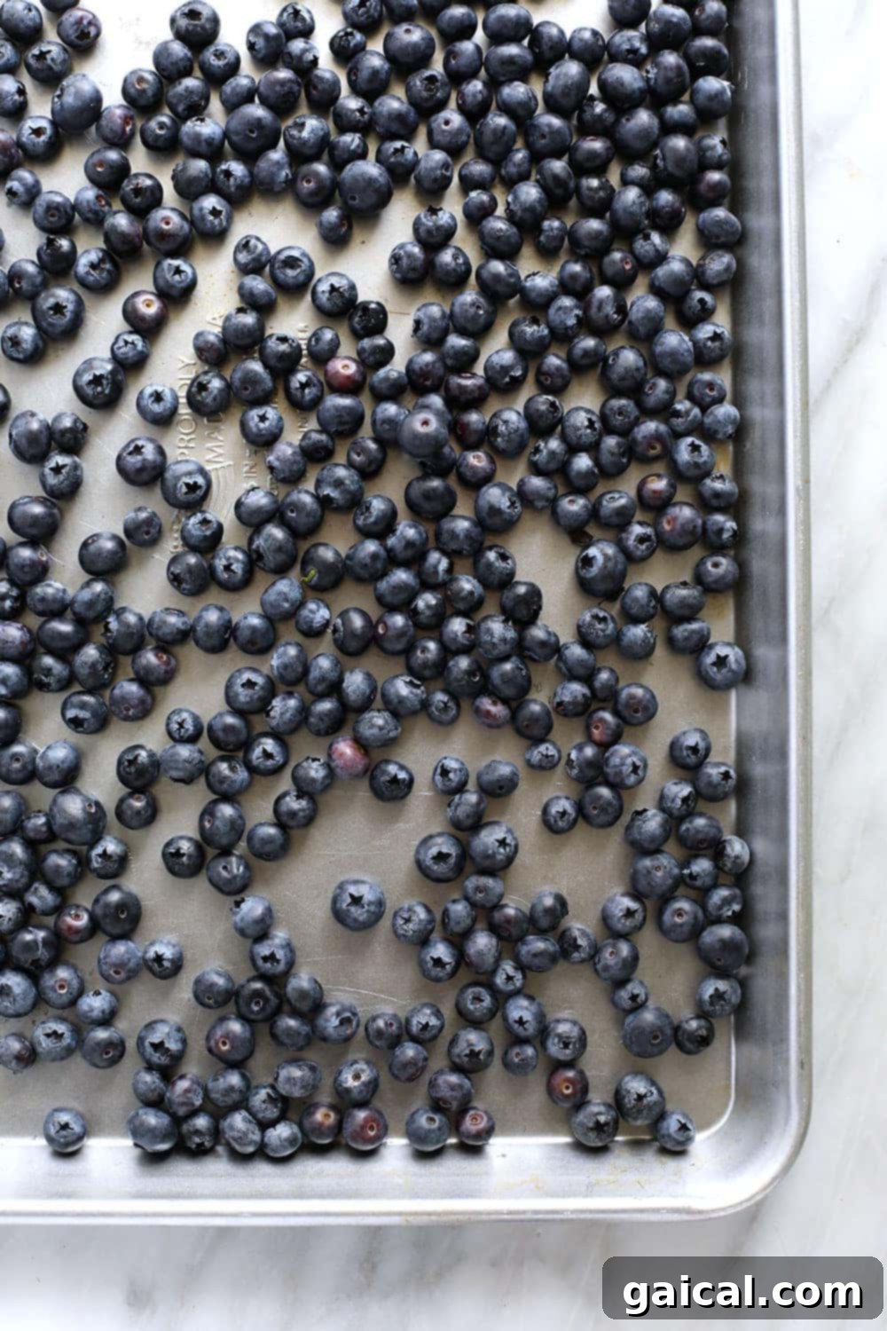 Individually frozen blueberries on a tray, prepared for freezer storage. A baking sheet full of individually frozen blueberries, ready to be transferred into storage bags.