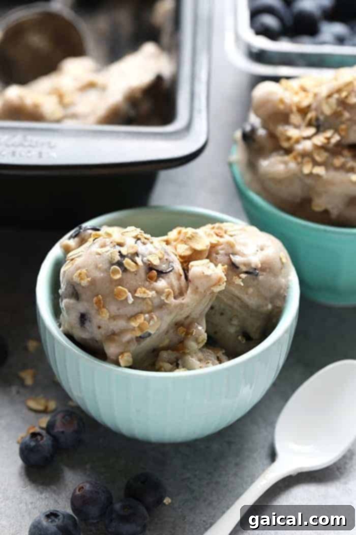 Creamy blueberry muffin banana soft serve, a healthy and delicious frozen dessert. A bowl of creamy blueberry muffin banana soft serve, garnished with fresh blueberries and a mint sprig.