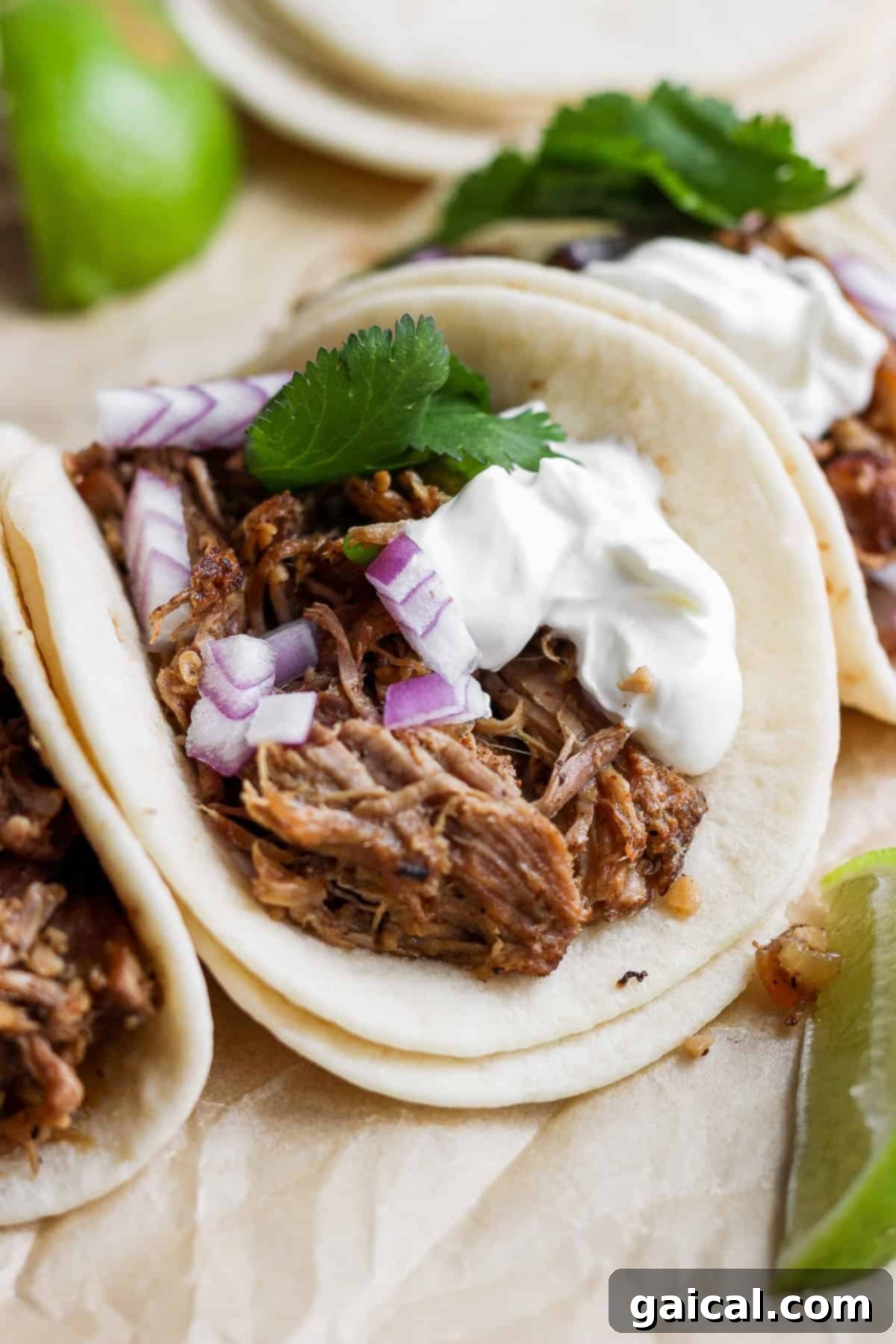 Carnitas tacos on a plate. 
