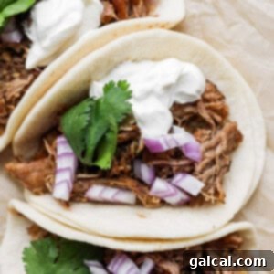 Pork Carnitas tacos on a plate