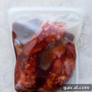 Pork tenderloin marinating inside a reusable Stasher bag, absorbing the rich flavors of the marinade.