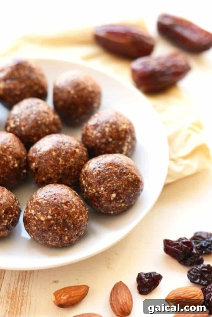 Close-up of the simple, wholesome ingredients used to create irresistible Cherry Pie Energy Balls.