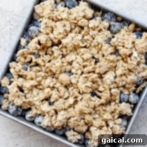 Rustic Blueberry Oat Crumble 6 uncooked blueberry crisp in baking dish.