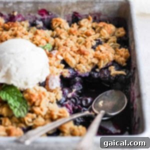 Rustic Blueberry Oat Crumble 3 Blueberry crisp in a pan with ice cream.
