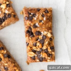 Kitchen Crafted Granola Bars 2 A delicious homemade peanut butter chocolate chip granola bar.