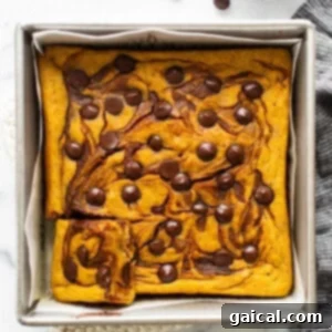 Marbled Brown Sugar Pumpkin Breakfast Cake 11 Pumpkin bread in a baking pan with chocolate chips.