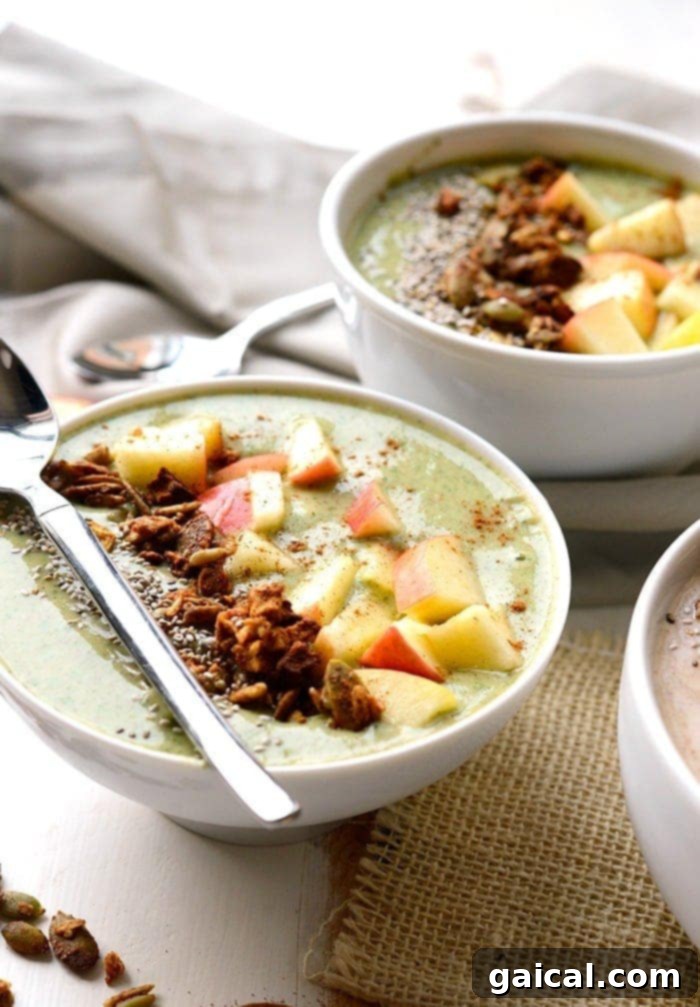 Two beautiful apple pie smoothie bowls, perfectly topped and ready to be enjoyed, showcasing the versatility of the recipe.