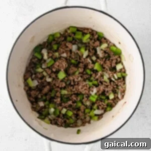 cooking beef in pot.