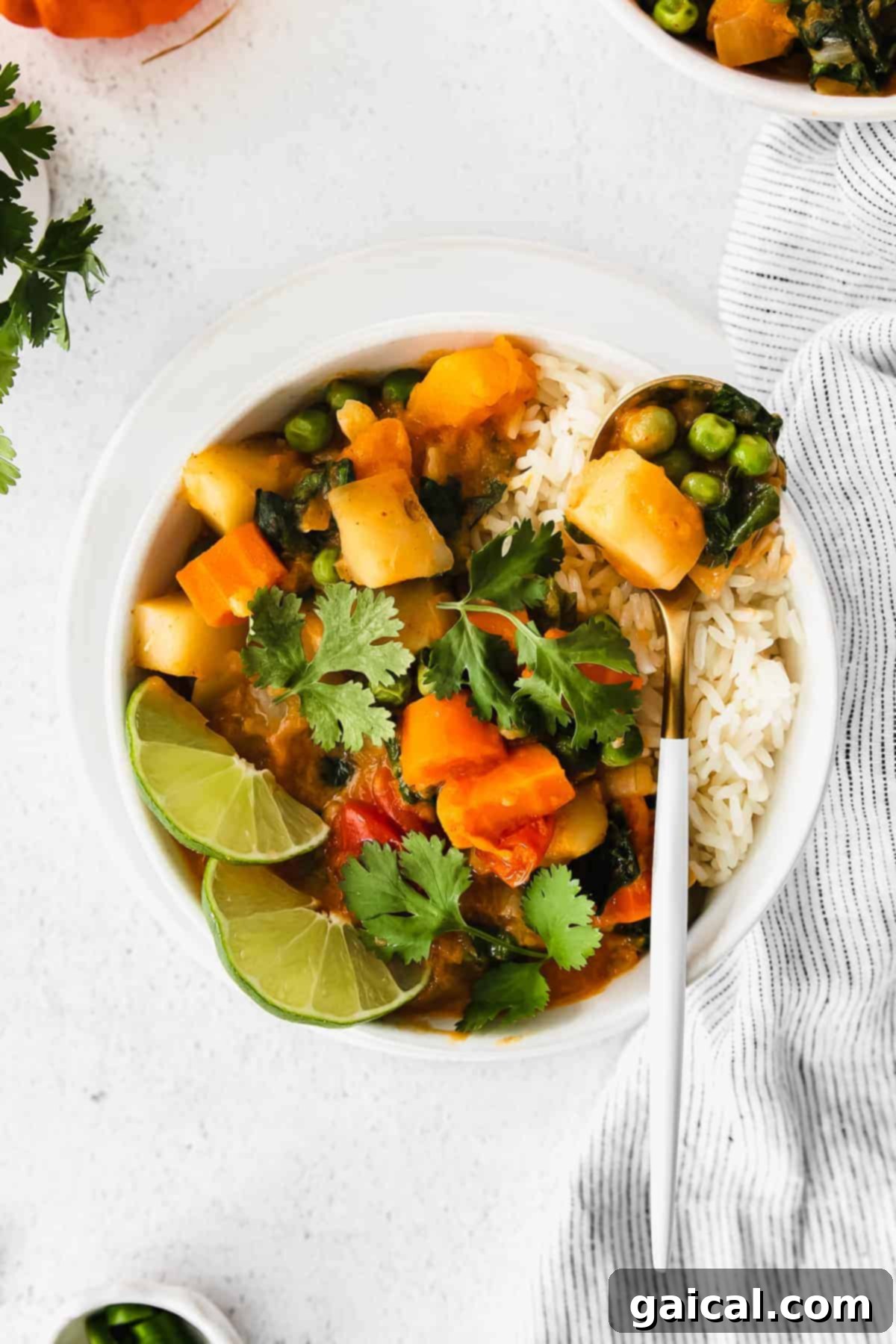 Flavorful Instant Pot Pumpkin Curry 2 Rich and creamy pumpkin curry served in a bowl, garnished with fresh cilantro.