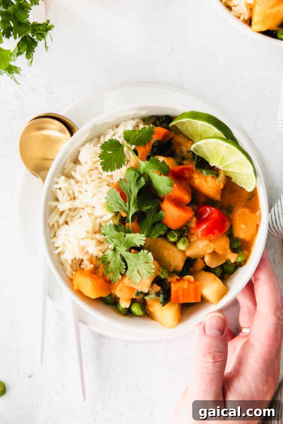 Flavorful Instant Pot Pumpkin Curry 7 A beautifully presented bowl of creamy, healthy Instant Pot pumpkin curry, garnished with fresh herbs, ready to be enjoyed as a wholesome meal.