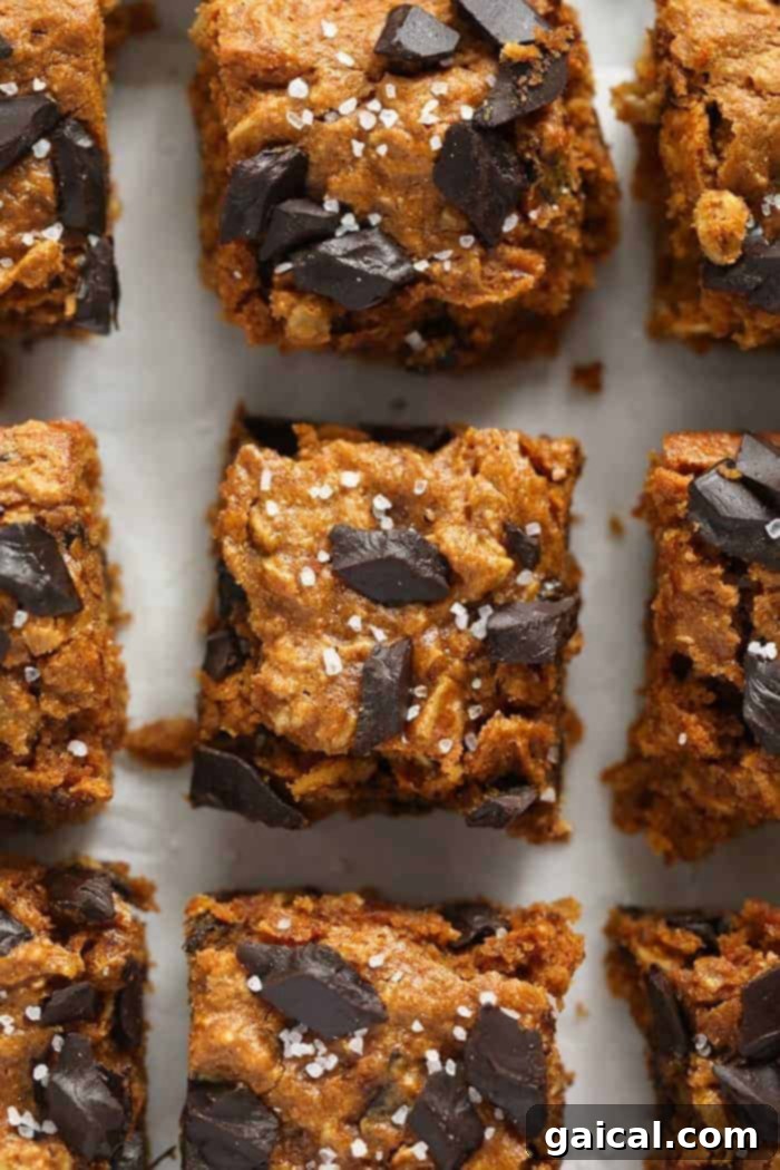 Nourish & Nosh: September's Fit Foodie Collective 3 Close-up shot of pumpkin cookie bars, showcasing a slice with a rich, moist interior and chocolate chunks.