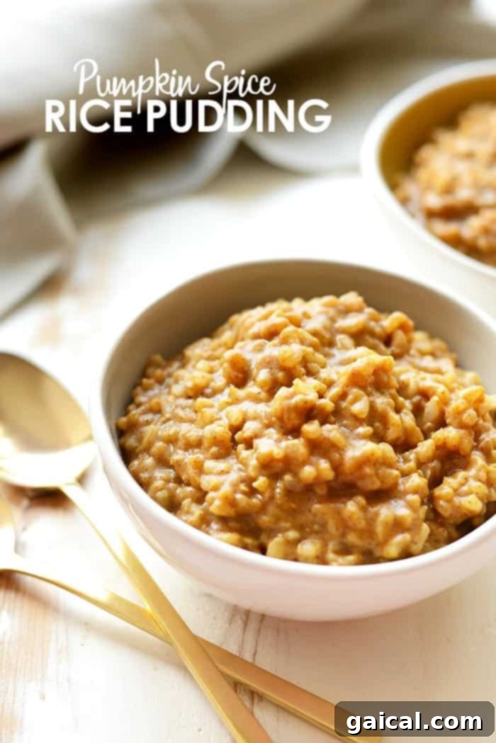 Warm Spiced Pumpkin Rice Pudding 2 A bowl of healthy pumpkin spice rice pudding, made with short grain brown rice, almond milk, and organic pumpkin, topped with a sprinkle of spices, ready to be enjoyed.