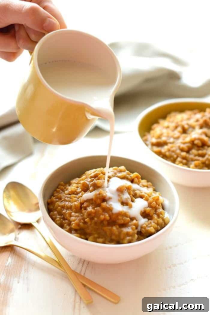 Warm Spiced Pumpkin Rice Pudding 4 A beautifully presented serving of healthy pumpkin pie rice pudding in a bowl, showcasing its vibrant orange color and luxurious creamy texture, ready for a garnish.