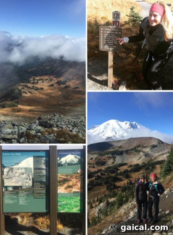 Seattle and Mount Rainier Adventures 2015 5 Check out my latest travels to Seattle, WA and Mt. Rainier! I talk all things see, do, and food, including lots of photos from our adventure!