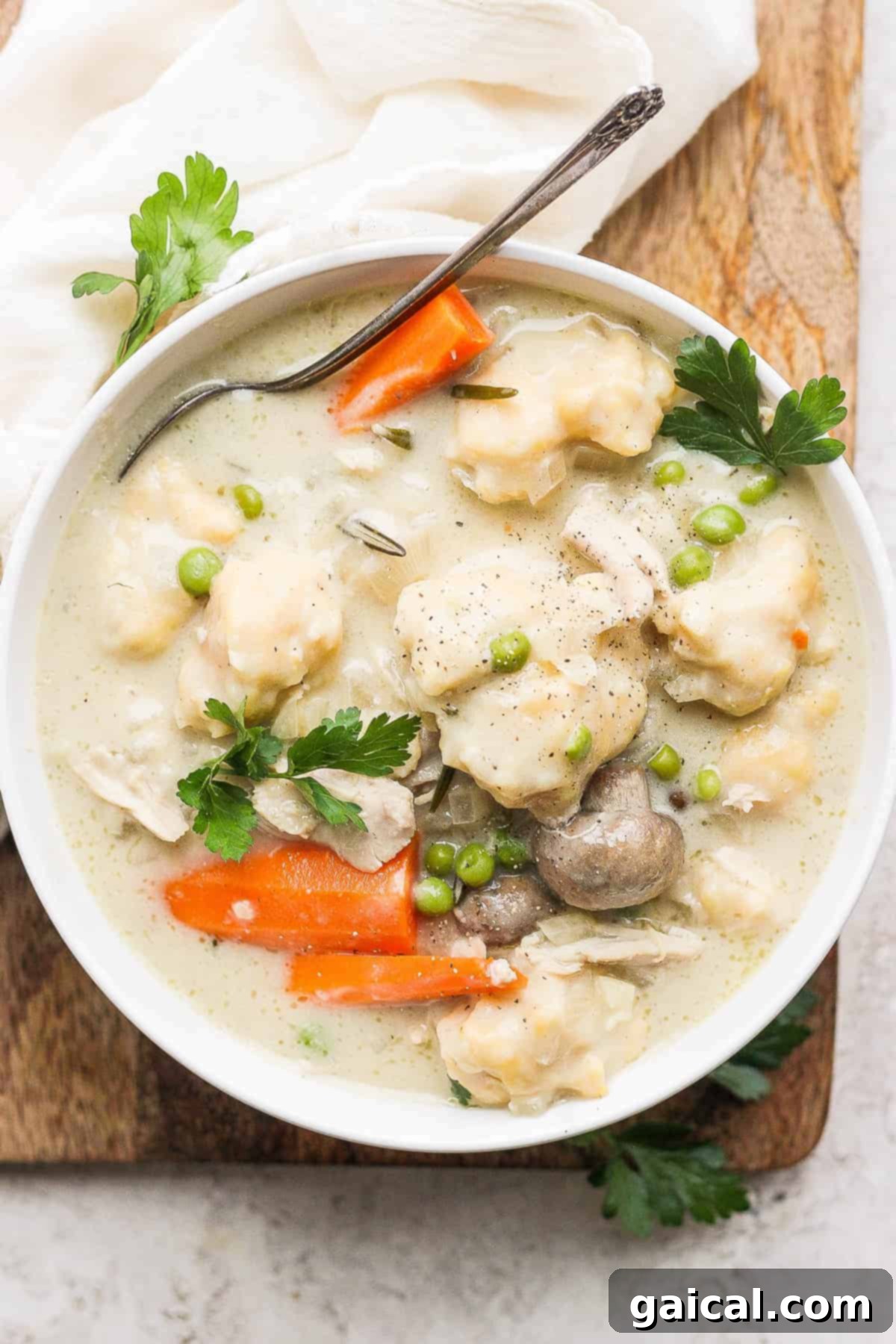 Soul-Warming Slow Cooker Chicken and Dumplings 2 A steaming bowl of homemade slow cooker chicken and dumplings, garnished with fresh herbs.