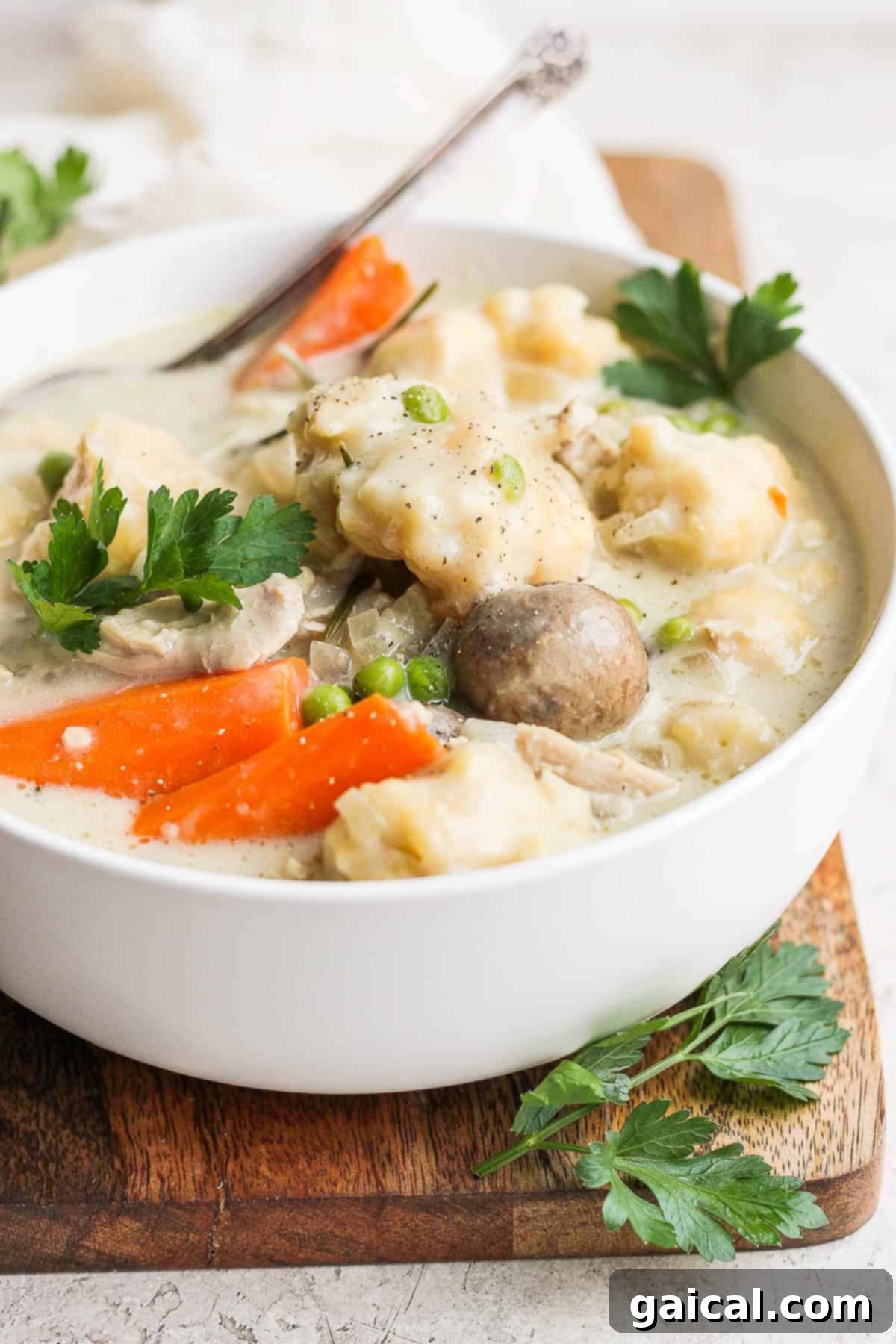 Soul-Warming Slow Cooker Chicken and Dumplings 10 A cozy bowl of chicken and dumplings, ready to be served for a comforting dinner.