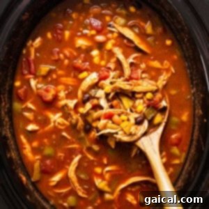 A bowl of chicken soup in a slow cooker with a wooden spoon.