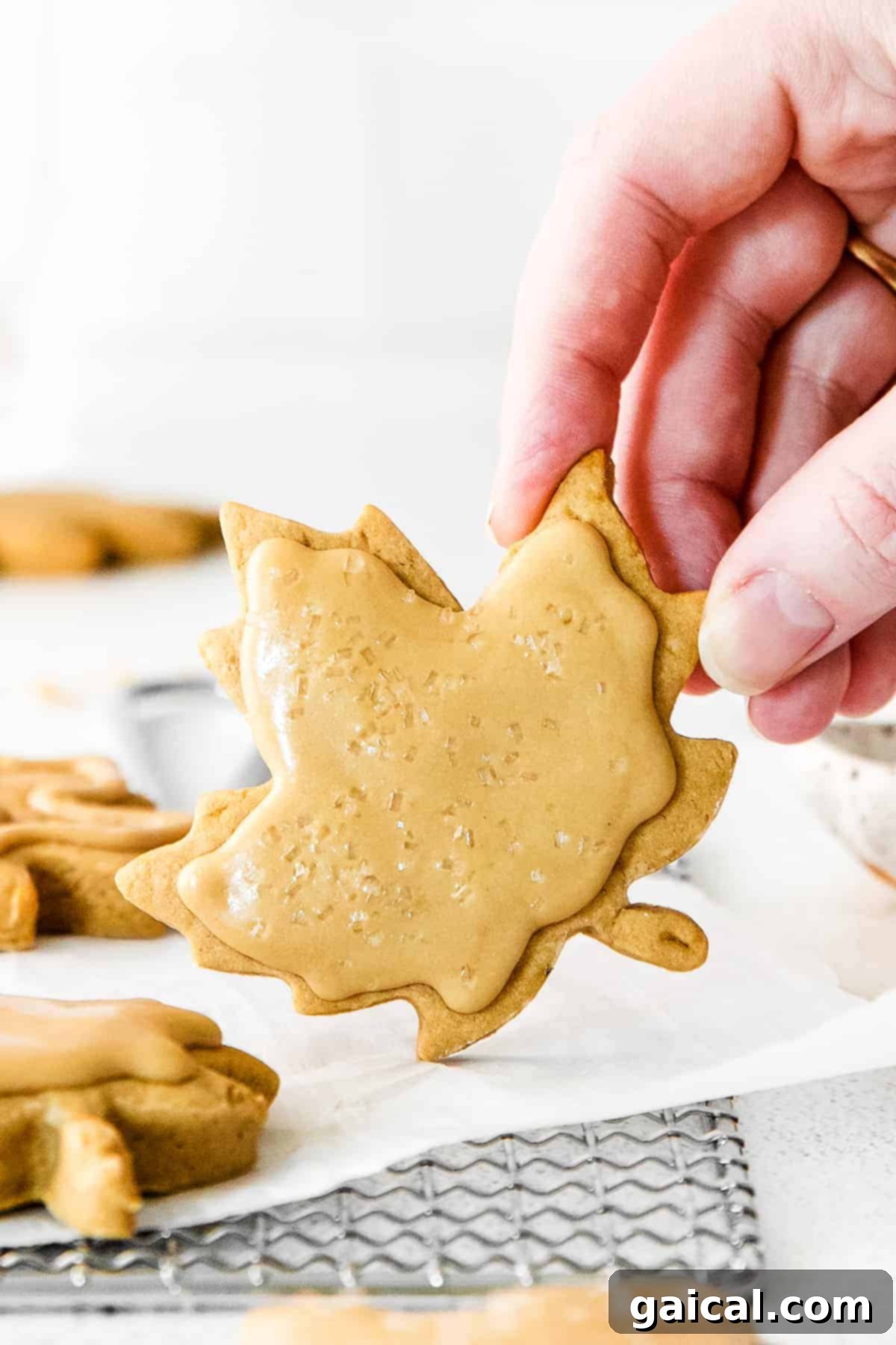 Refined Sugar-Free Maple Sugar Cookies Hand holding a perfectly baked maple sugar cookie, showcasing its golden edge and smooth texture.