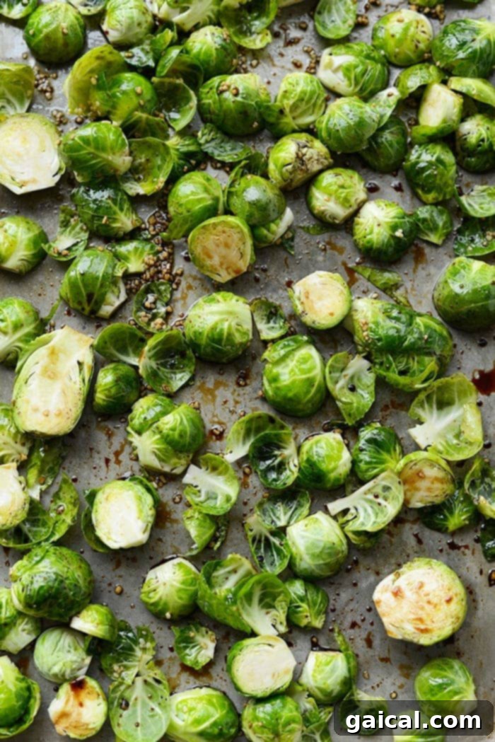 Crispy roasted Brussels sprouts tossed with balsamic vinegar and olive oil, ready to serve.