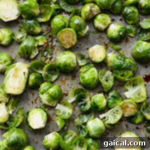 Evenly spread Brussels sprouts on a baking sheet with balsamic and olive oil, ready for roasting.