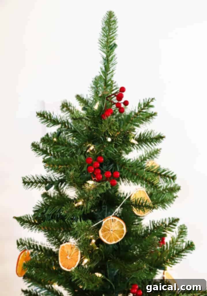 Dried orange garland is such a fun DIY holiday decoration that only requires 1 ingredient - oranges! A beautiful Christmas tree adorned with homemade dried orange garland, showcasing a natural and festive holiday decoration.
