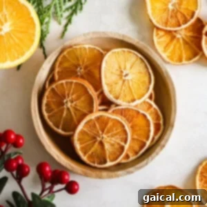 Dried orange garland is such a fun DIY holiday decoration that only requires 1 ingredient - oranges! A bowl brimming with dried orange slices, showcasing their rich color and texture, perfect for holiday crafting.