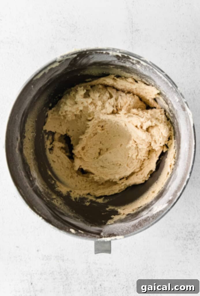 Quick Snickerdoodle Delight 4 Snickerdoodle cookie dough in a mixing bowl, perfectly combined and ready for chilling.