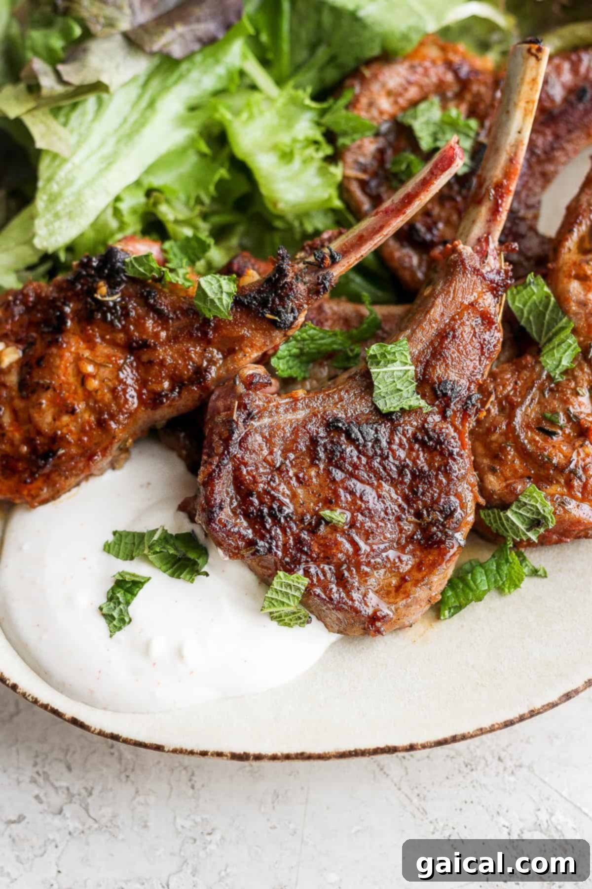 Single Pan-Seared Lamb Chop Plated with Homemade Aioli A single perfectly cooked pan seared lamb chop, artfully placed over a swirl of homemade aioli.