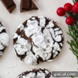 Chocolate Crinkle Cookies, a close-up of the finished product with powdered sugar.