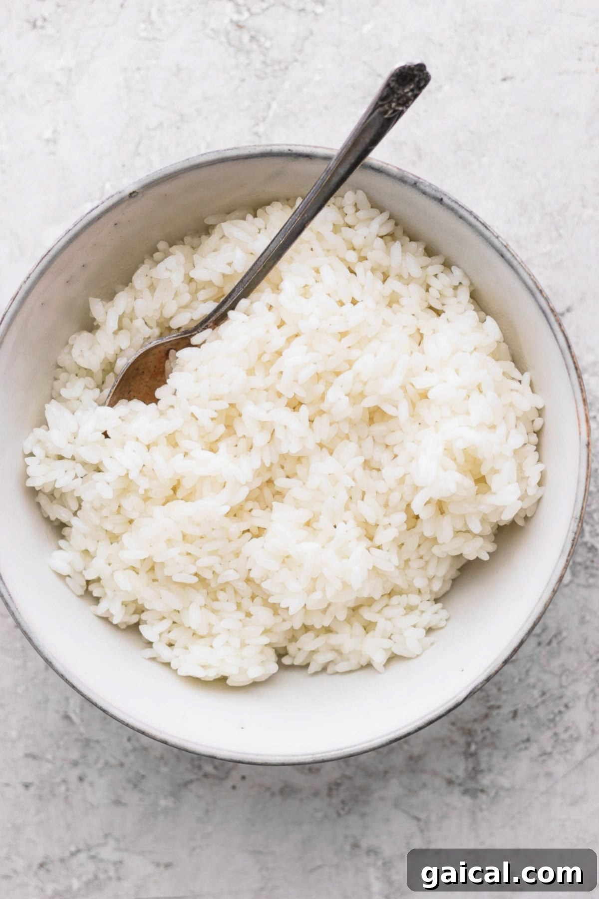 Steamed sticky rice served in a rustic bowl with a wooden spoon, ready to be enjoyed.