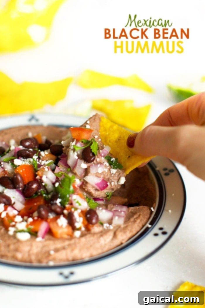 Creamy Mexican black bean hummus in a rustic bowl, garnished with fresh cilantro and a sprinkle of cotija cheese, ready for serving with tortilla chips.