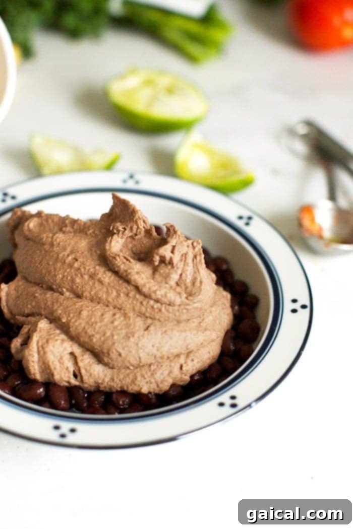 A close-up shot of Mexican black bean hummus being scooped into a bowl, showcasing its smooth texture and rich color, garnished with a hint of fresh cilantro.