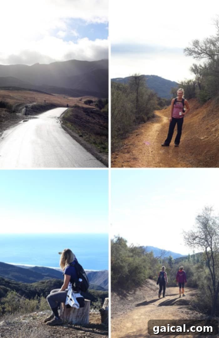 Wellfit Malibu: Relive the Journey 4 hiking
