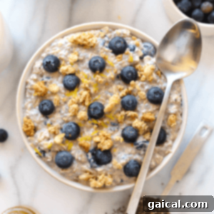 A visual representation of blueberry overnight oats in a stylish bowl, appealing for a ready-to-eat breakfast.
