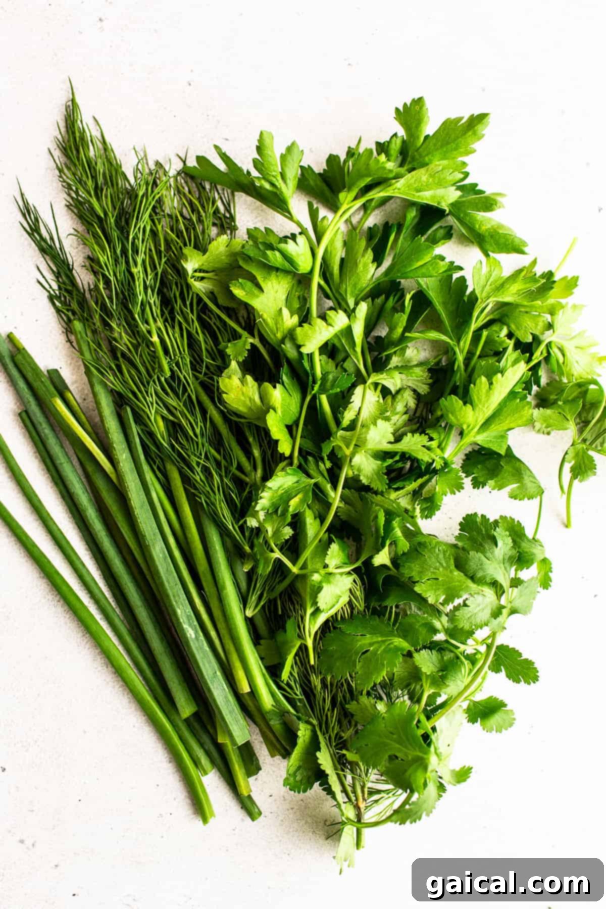 Fresh Herbs for Lemon Pasta Salad Assortment of vibrant fresh herbs including cilantro, parsley, chives, and dill artfully arranged on a wooden cutting board