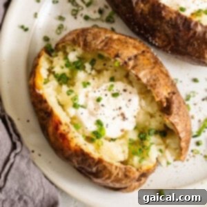 Two baked potatoes with various toppings served on a white plate, showcasing their inviting golden skin.