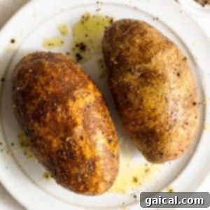Two perfectly roasted russet potatoes, seasoned and golden, resting on a white plate after air frying.