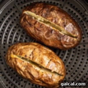 Two russet potatoes cooking inside an air fryer basket, showing their seasoned skin beginning to crisp.