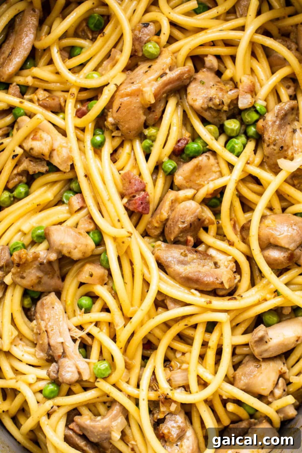Close-up of creamy chicken carbonara pasta, garnished with fresh herbs.
