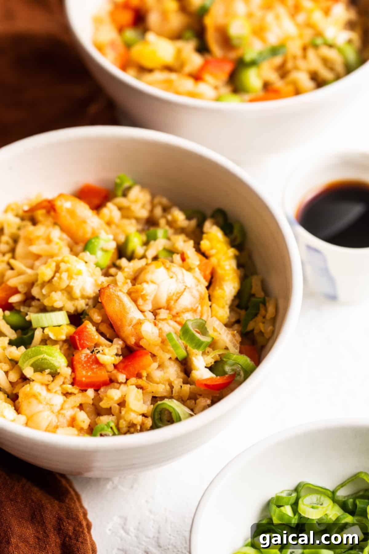 Freshly Served Shrimp Fried Rice A beautifully presented bowl of homemade shrimp fried rice, garnished with fresh green onions.