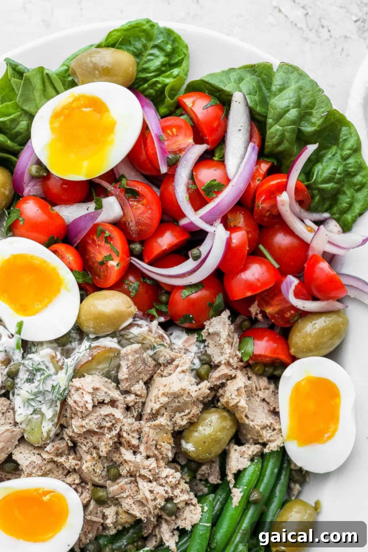 A beautifully arranged Nicoise salad on a large platter, showcasing vibrant vegetables, eggs, and tuna.