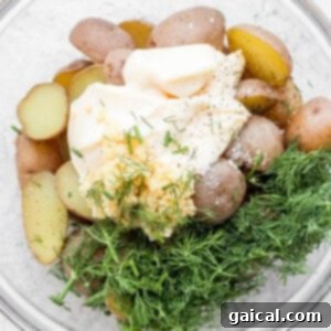 Creamy dill dressing being folded into warm, halved potatoes in a bowl.